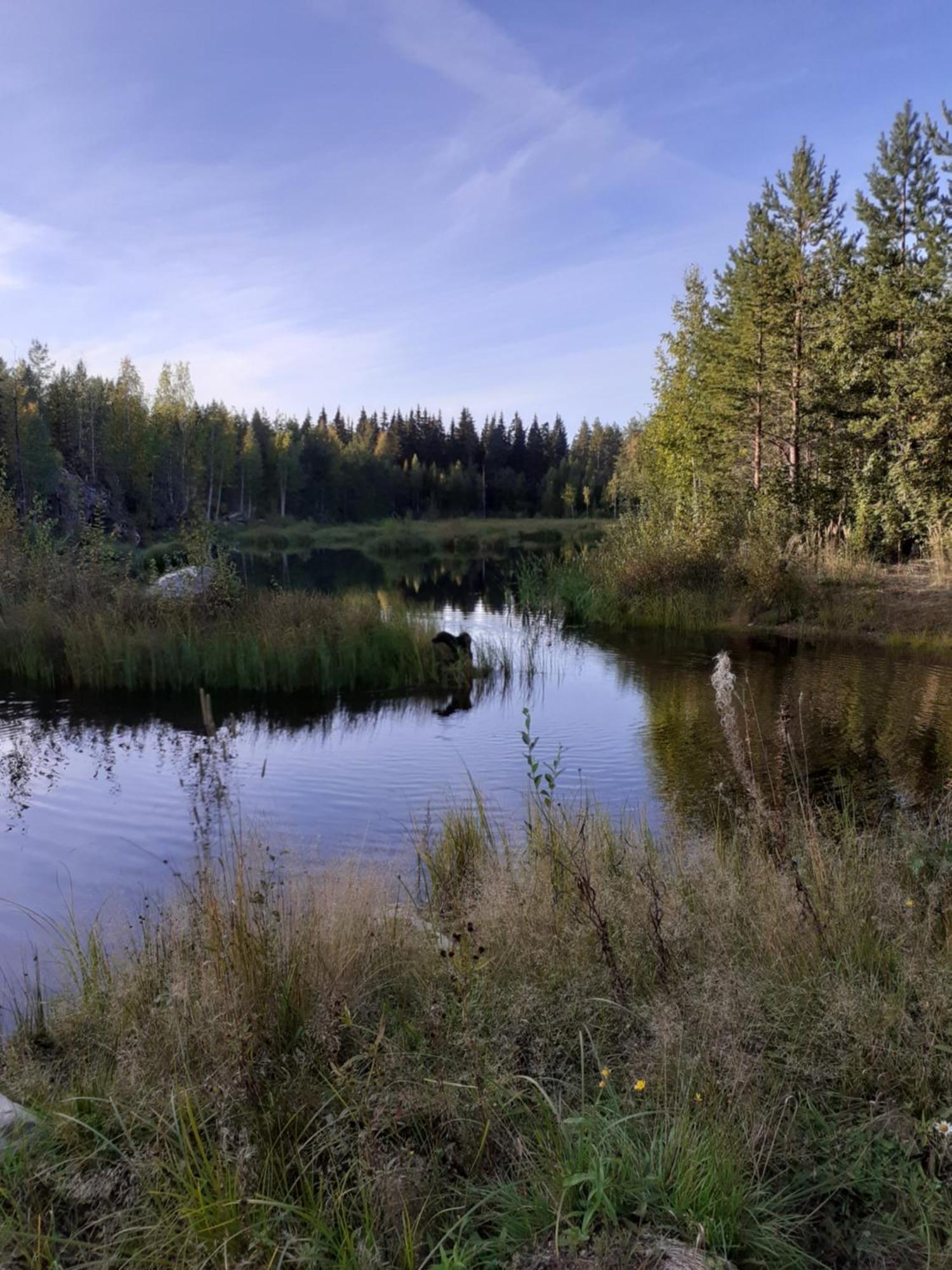 Enonkosken Kartano & Guesthouse Enonkoski Exteriér fotografie